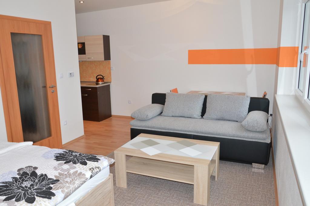 Studio 37 Trebon Room photo